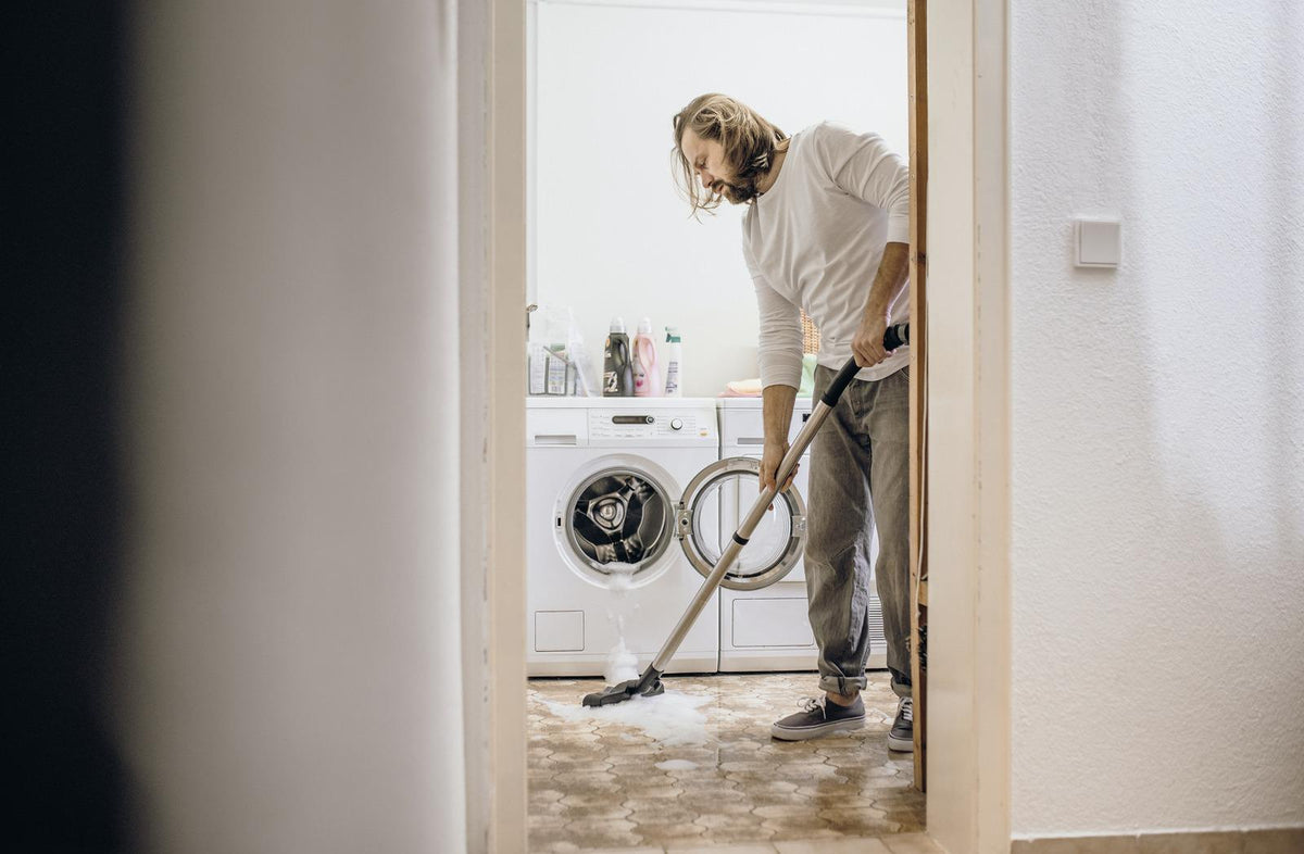 WD 6 P S V-30/6/22/T шаруашылық шаңсорғыш