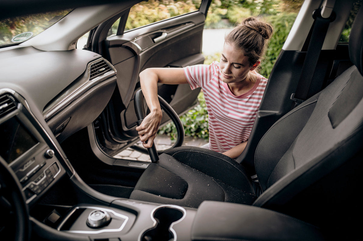 Хозяйственный пылесос WD 1 Class