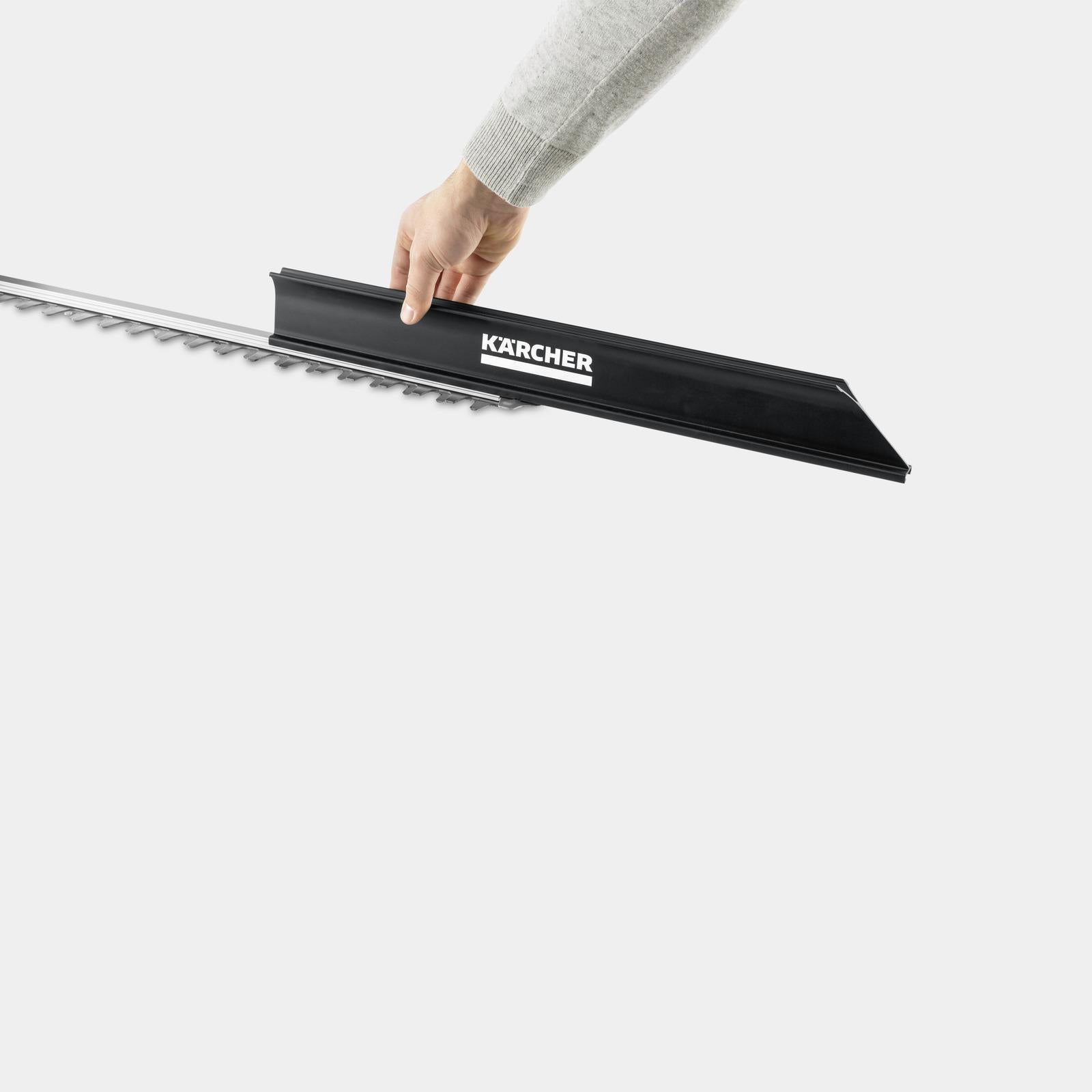 Азиялық киска Санкт-Петербургтегі транссексуалдар: бағалар